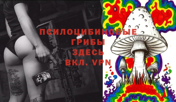 бошки Алзамай